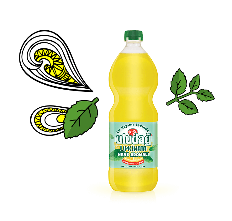 Uludağ Limonata Nane Aromalı