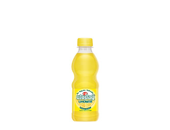 Uludağ Limonata 250ml Pet Şişe